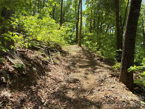 99999 Pink Fox Cove Road Weaverville NC 28787