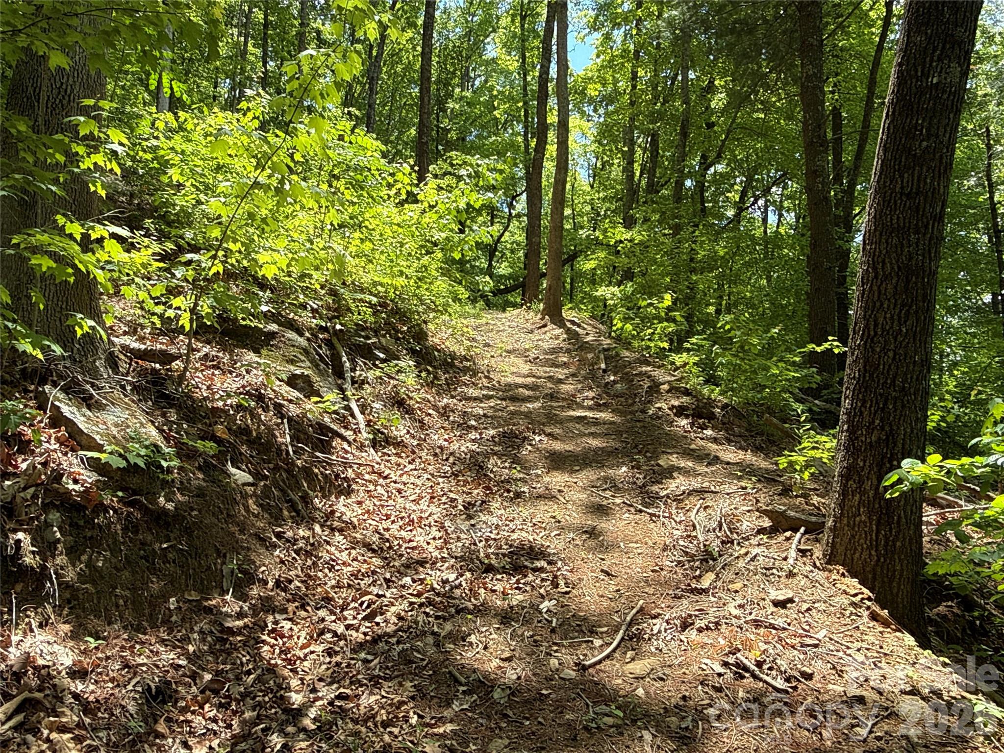 99999 Pink Fox Cove Road Weaverville NC 28787