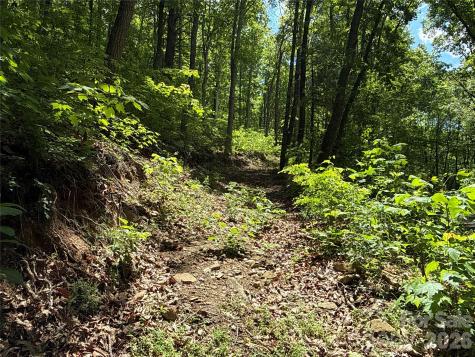 99999 Pink Fox Cove Road Weaverville NC 28787