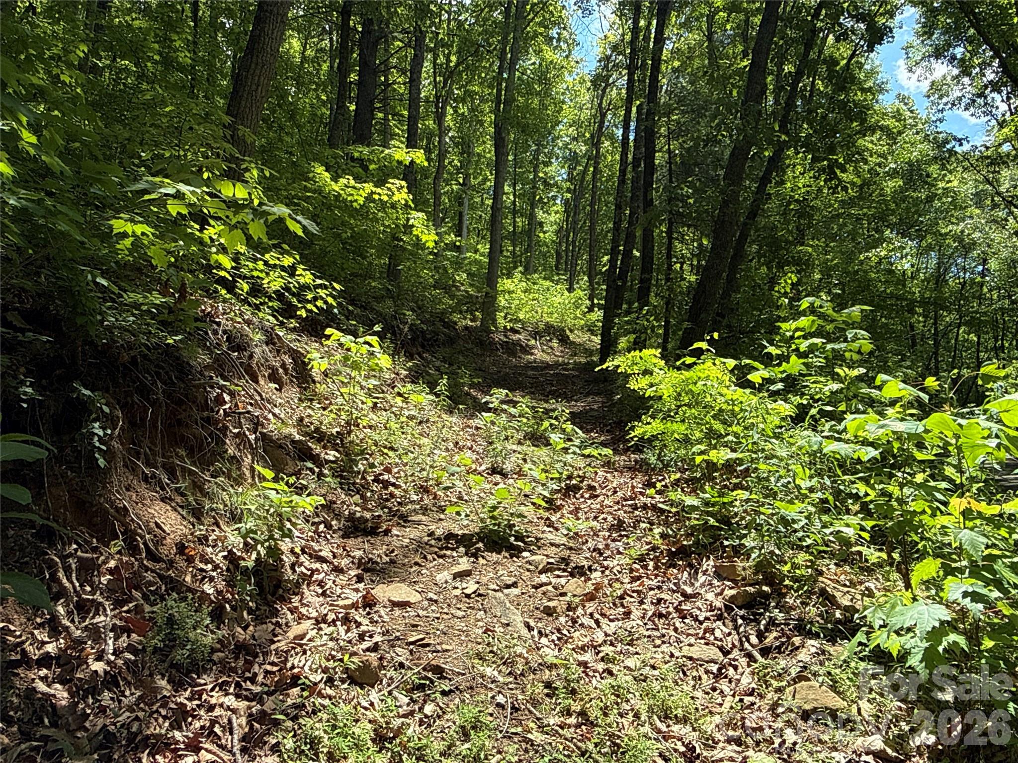 99999 Pink Fox Cove Road Weaverville NC 28787