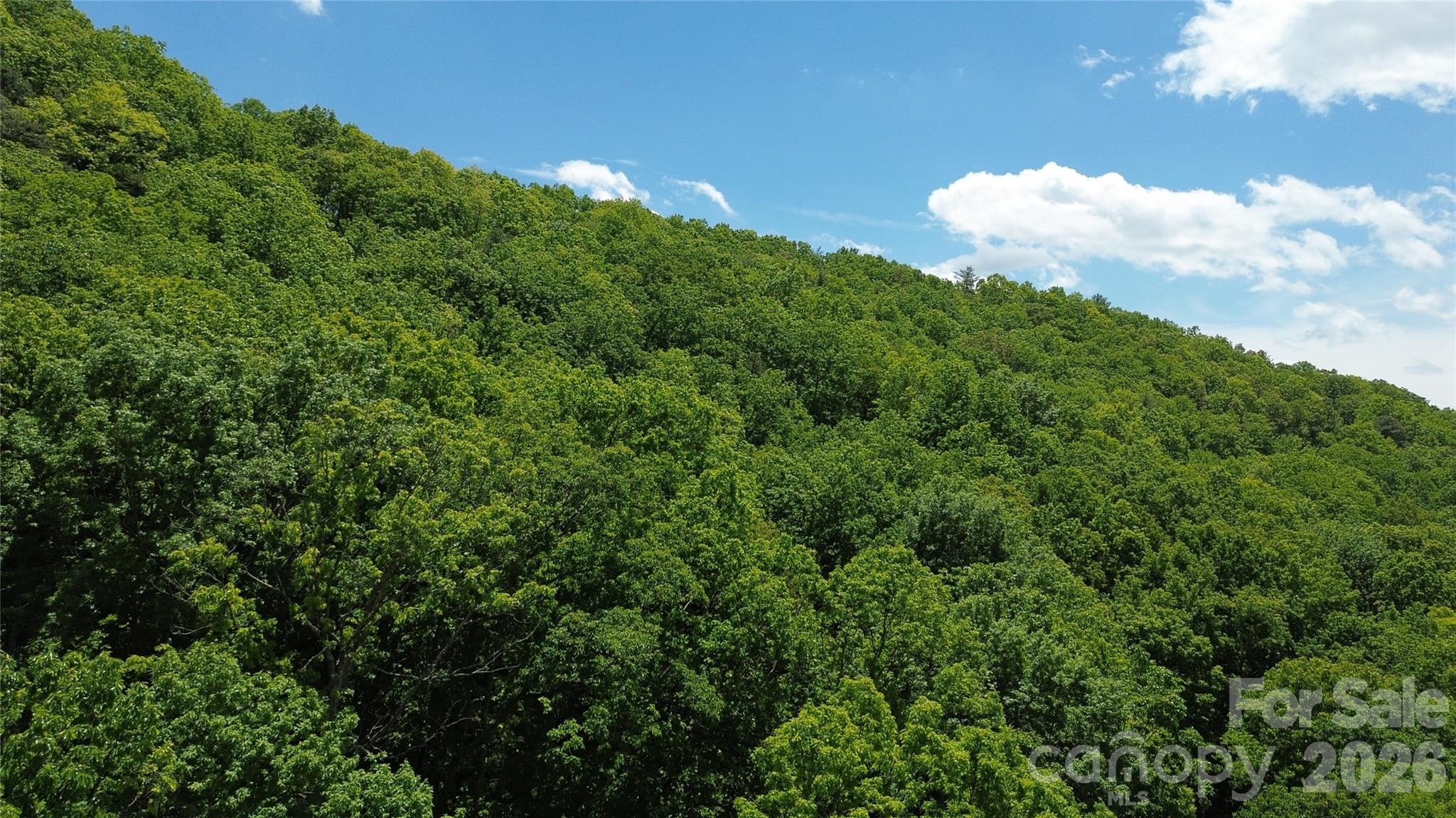 99999 Pink Fox Cove Road Weaverville NC 28787