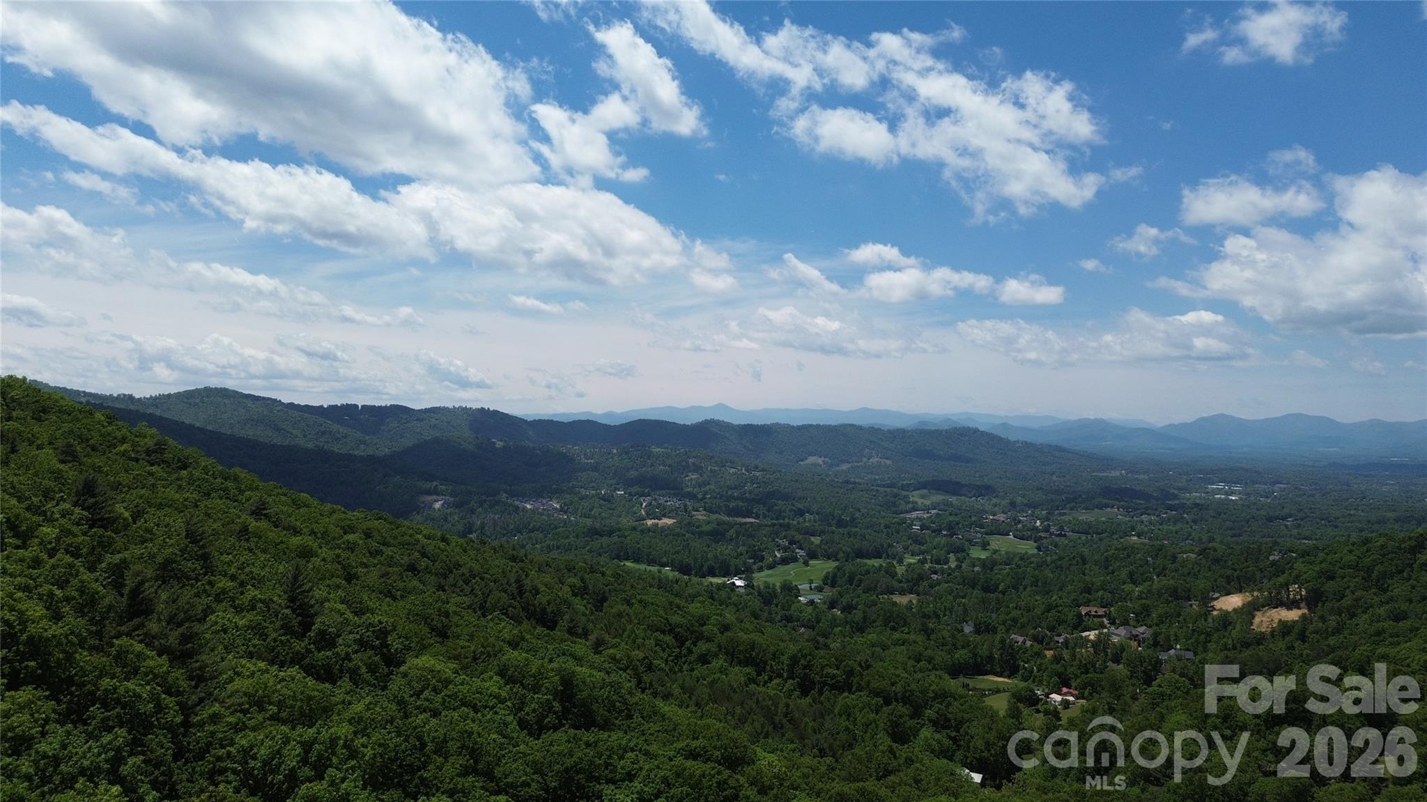 99999 Pink Fox Cove Road Weaverville NC 28787