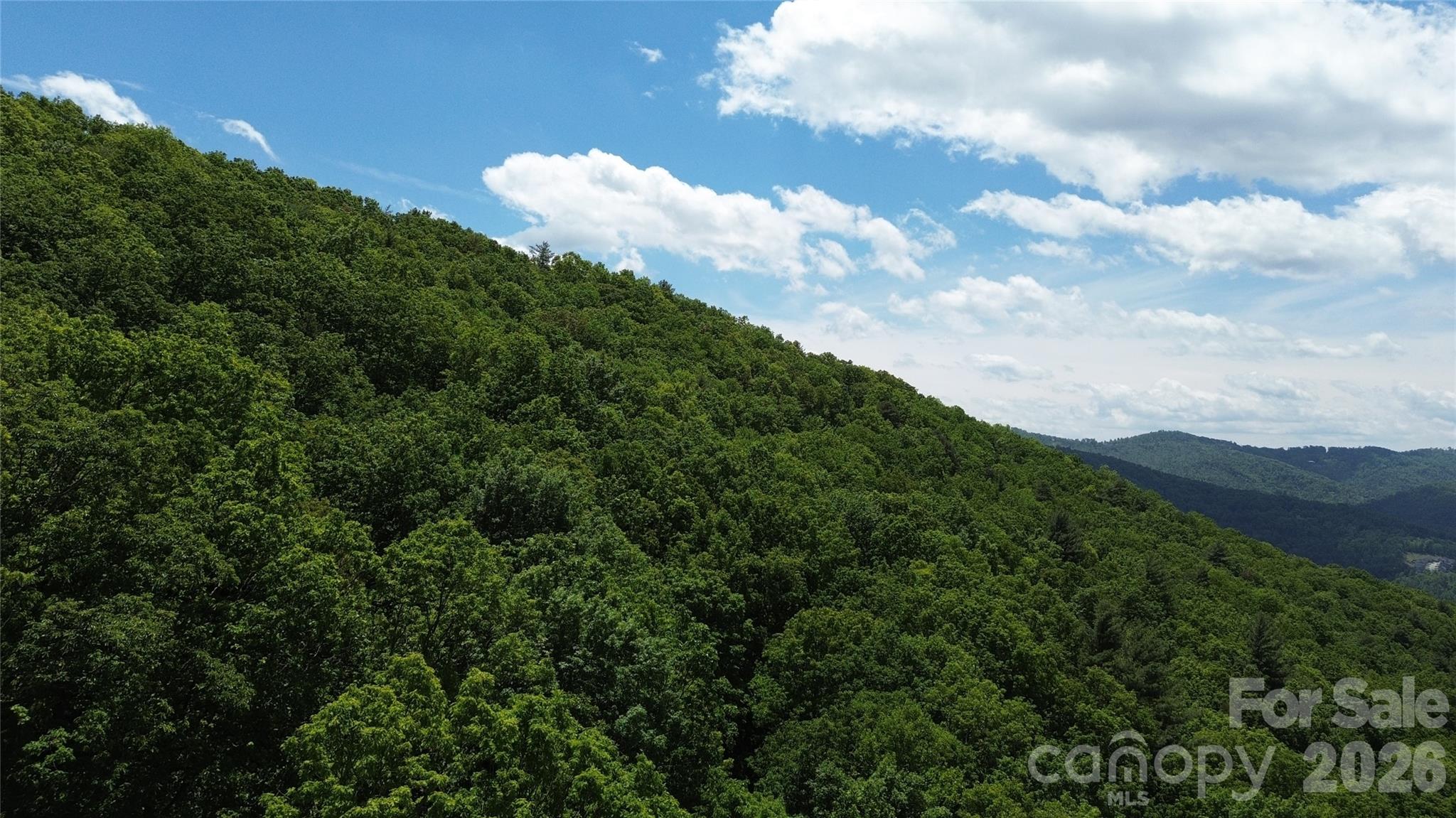 99999 Pink Fox Cove Road Weaverville NC 28787