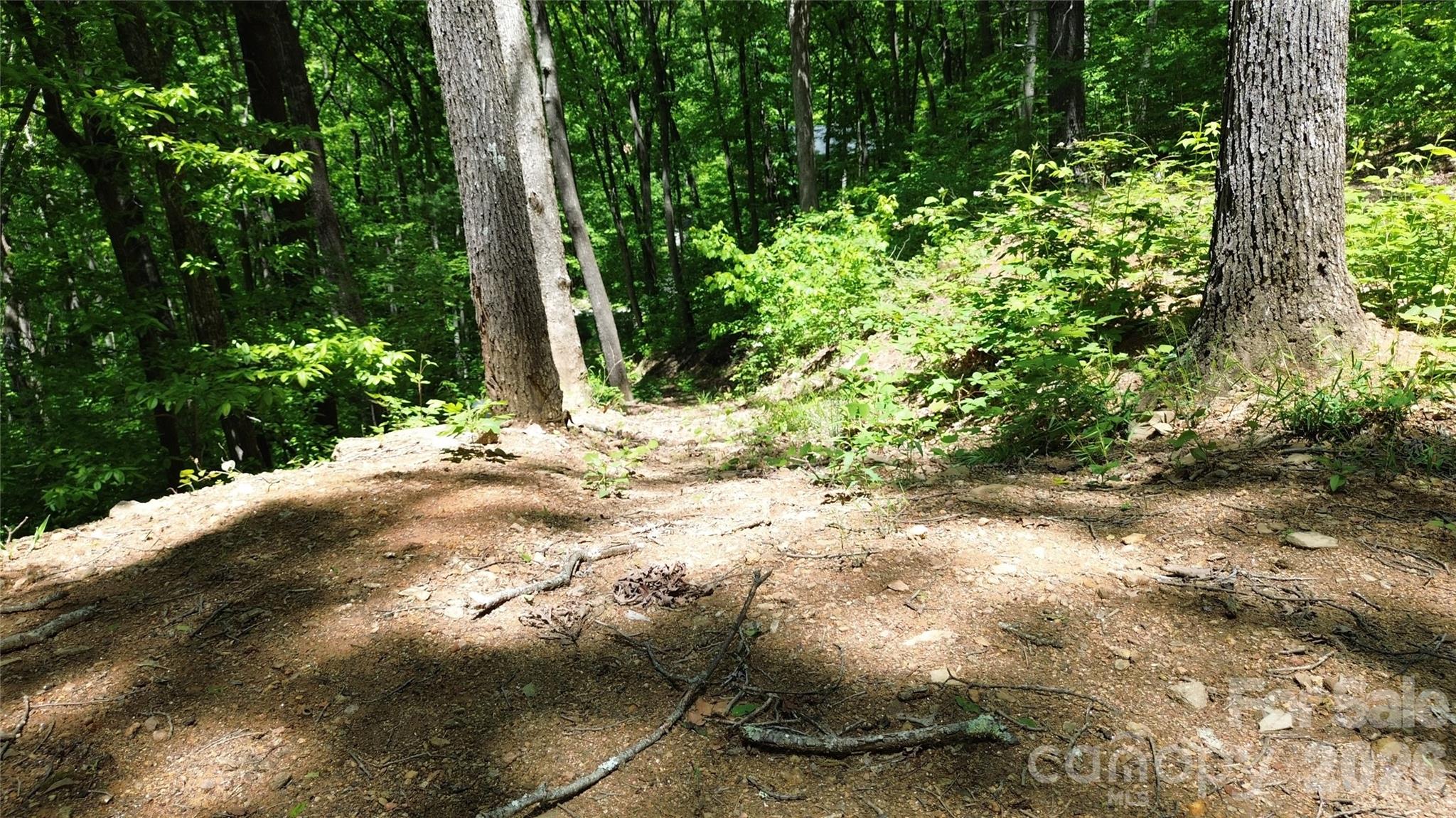 99999 Pink Fox Cove Road Weaverville NC 28787