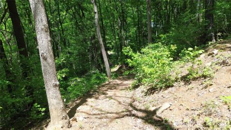 99999 Pink Fox Cove Road Weaverville NC 28787