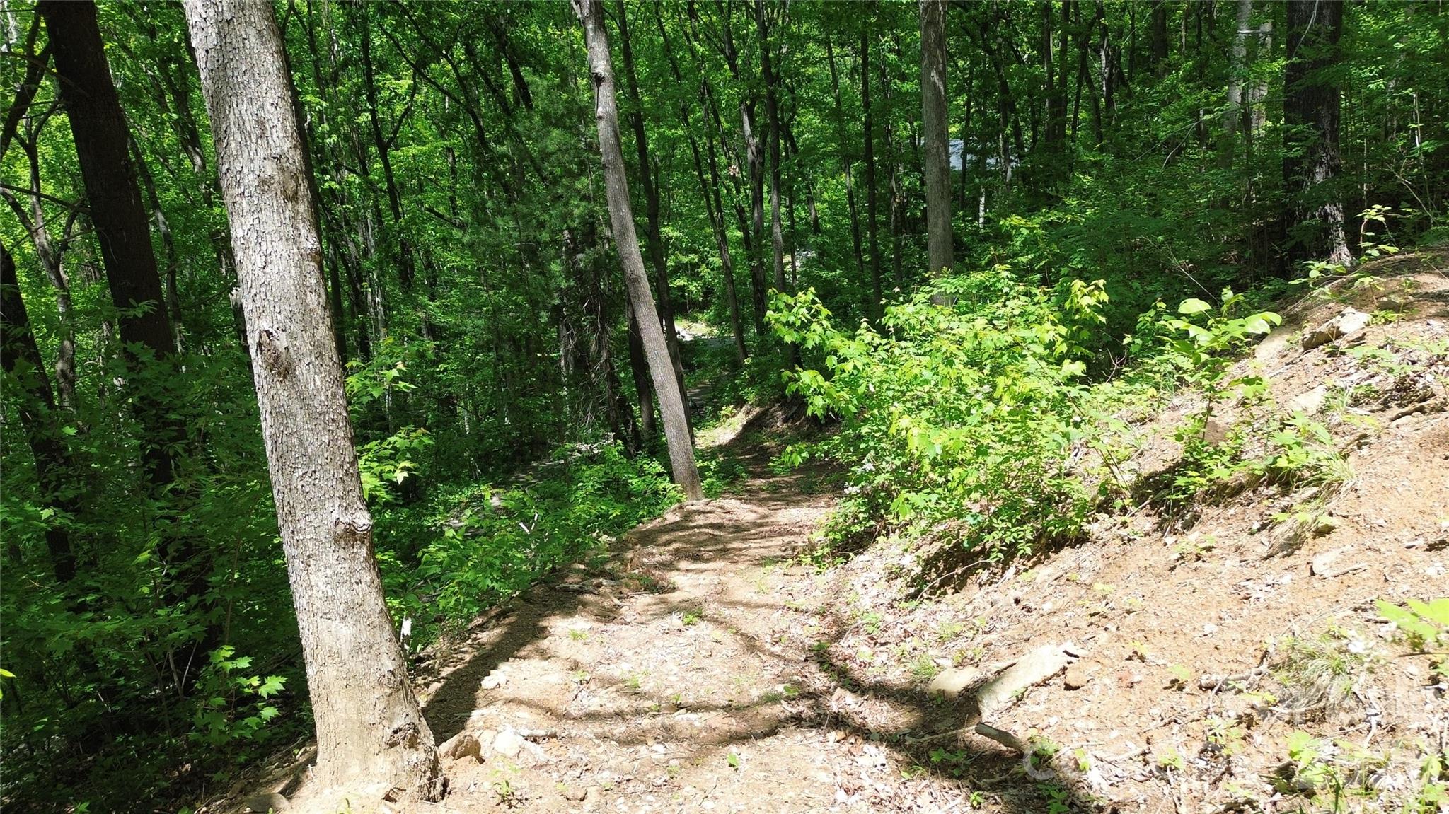 99999 Pink Fox Cove Road Weaverville NC 28787