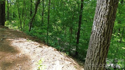99999 Pink Fox Cove Road Weaverville NC 28787