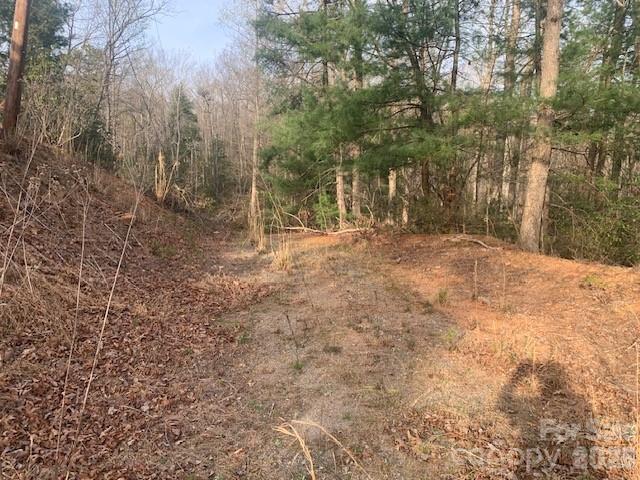 7.67 Ac. Holbert Cove Road Saluda NC 28773