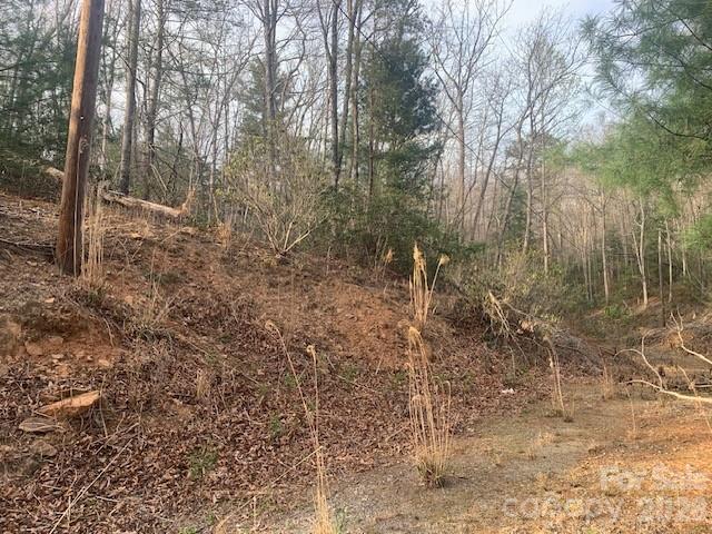 7.67 Ac. Holbert Cove Road Saluda NC 28773