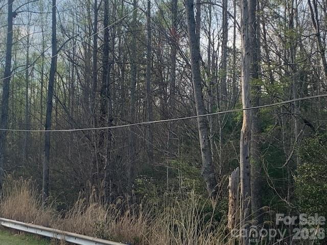 7.67 Ac. Holbert Cove Road Saluda NC 28773