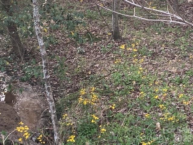 7.67 Ac. Holbert Cove Road Saluda NC 28773