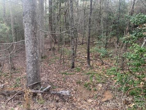 7.67 Ac. Holbert Cove Road Saluda NC 28773