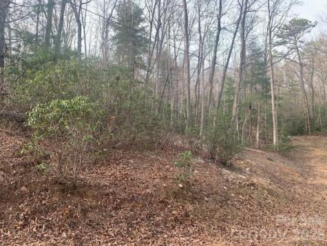7.67 Ac. Holbert Cove Road Saluda NC 28773