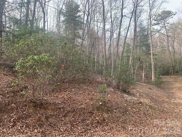7.67 Ac. Holbert Cove Road Saluda NC 28773