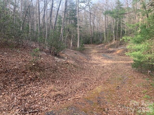 7.67 Ac. Holbert Cove Road Saluda NC 28773