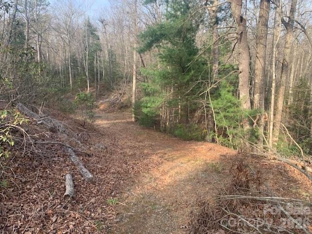 7.67 Ac. Holbert Cove Road Saluda NC 28773