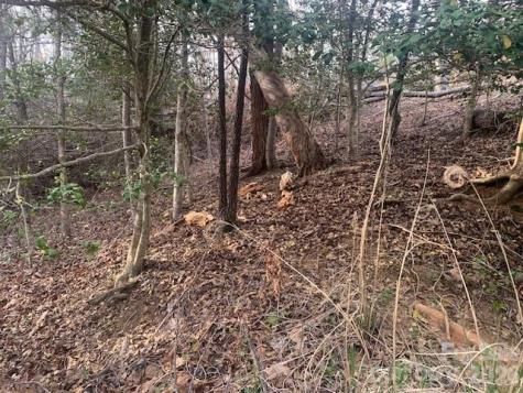 7.67 Ac. Holbert Cove Road Saluda NC 28773