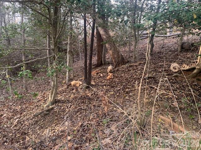 7.67 Ac. Holbert Cove Road Saluda NC 28773