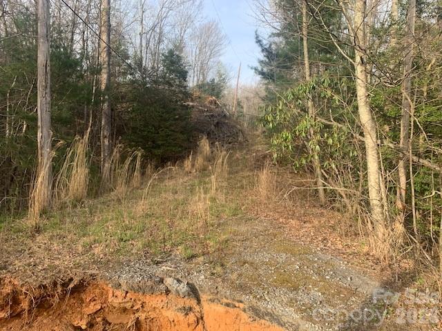 7.67 Ac. Holbert Cove Road Saluda NC 28773