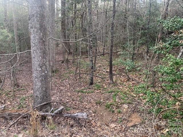 7.67 Ac. Holbert Cove Road Saluda NC 28773