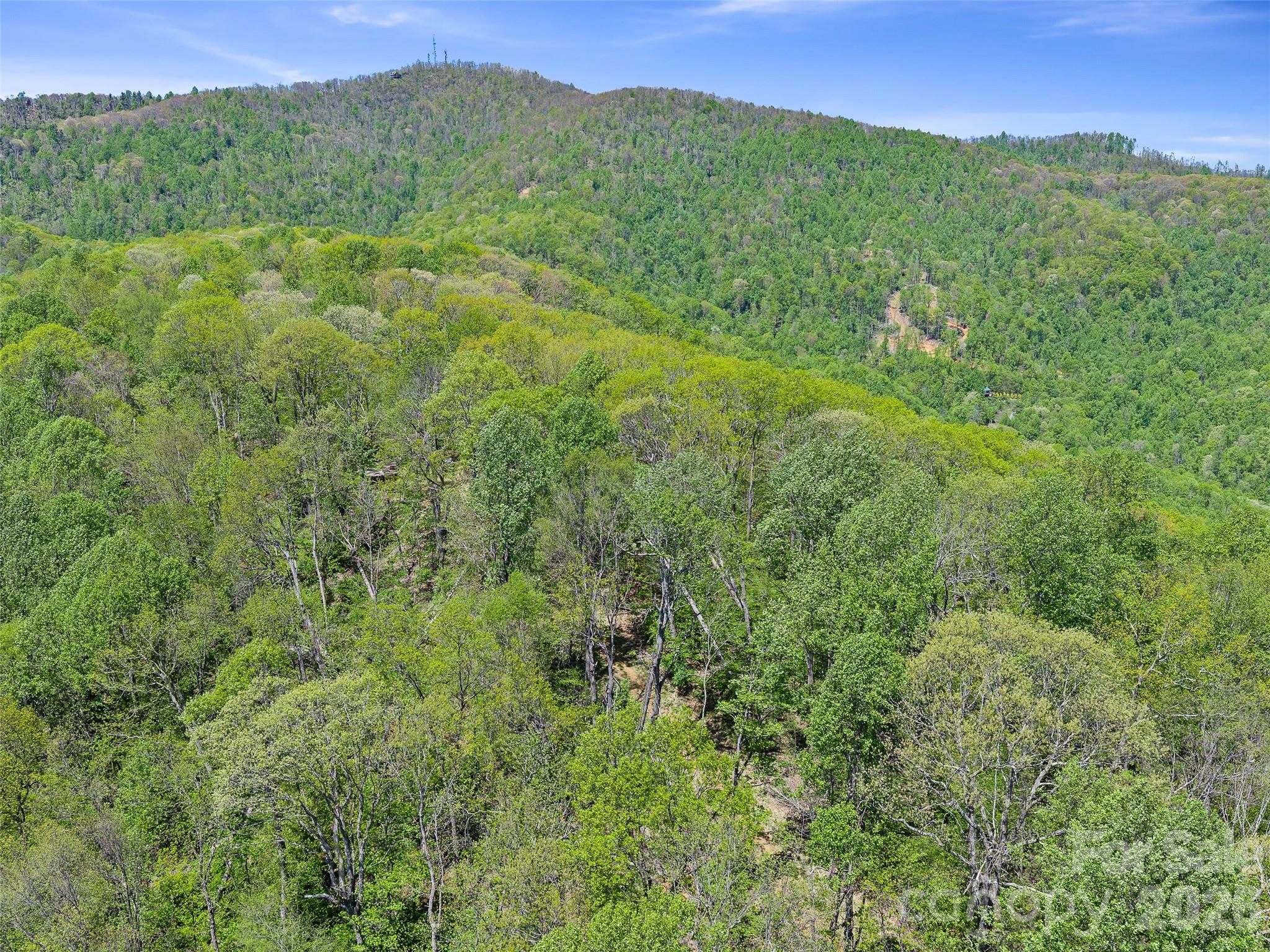 Tbd Holly Dale Drive Spruce Pine NC 28777