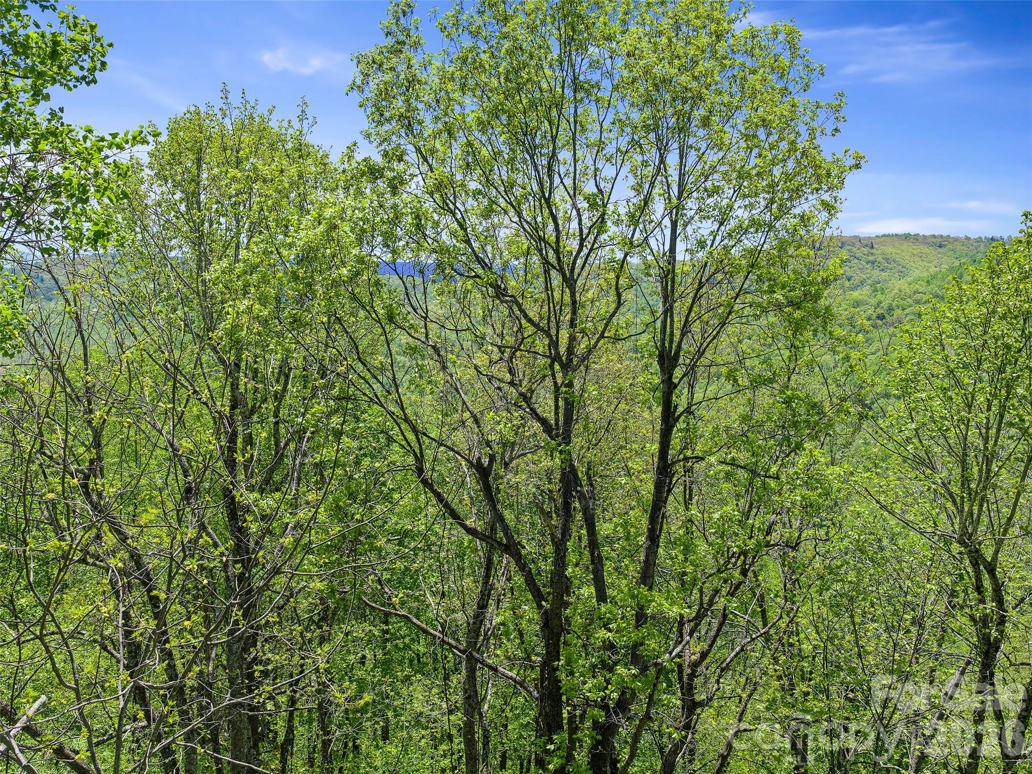 Tbd Holly Dale Drive Spruce Pine NC 28777