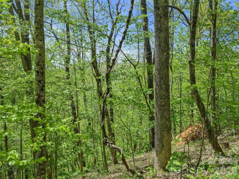 Tbd Holly Dale Drive Spruce Pine NC 28777