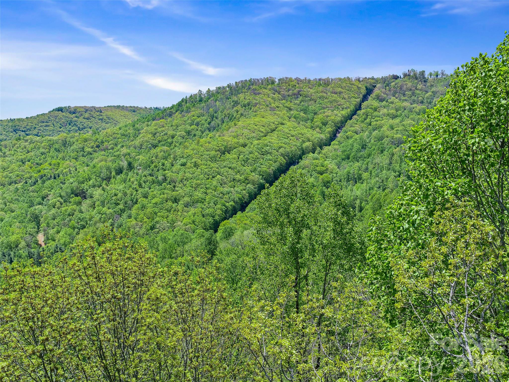 Tbd Holly Dale Drive Spruce Pine NC 28777