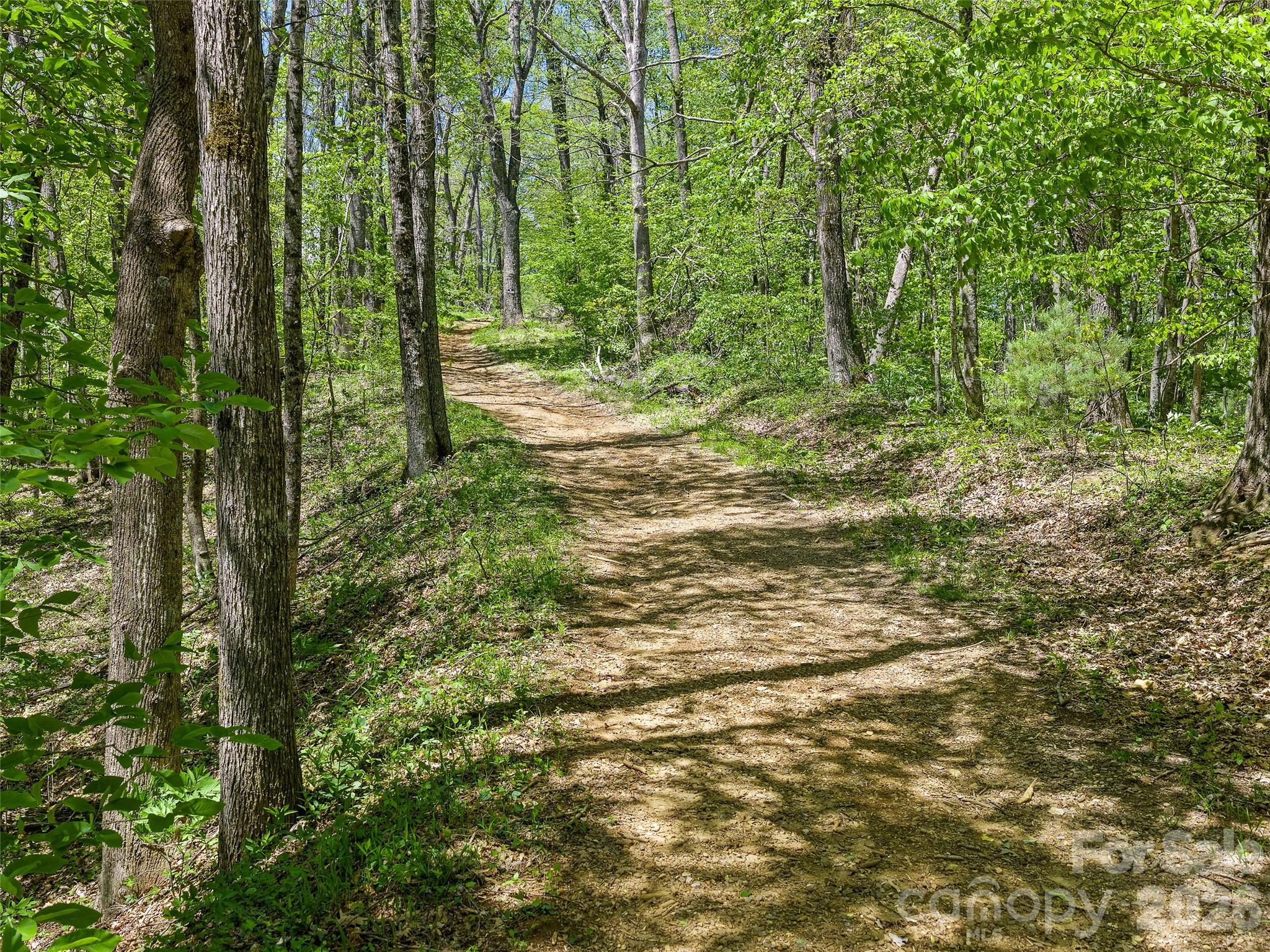 Tbd Holly Dale Drive Spruce Pine NC 28777
