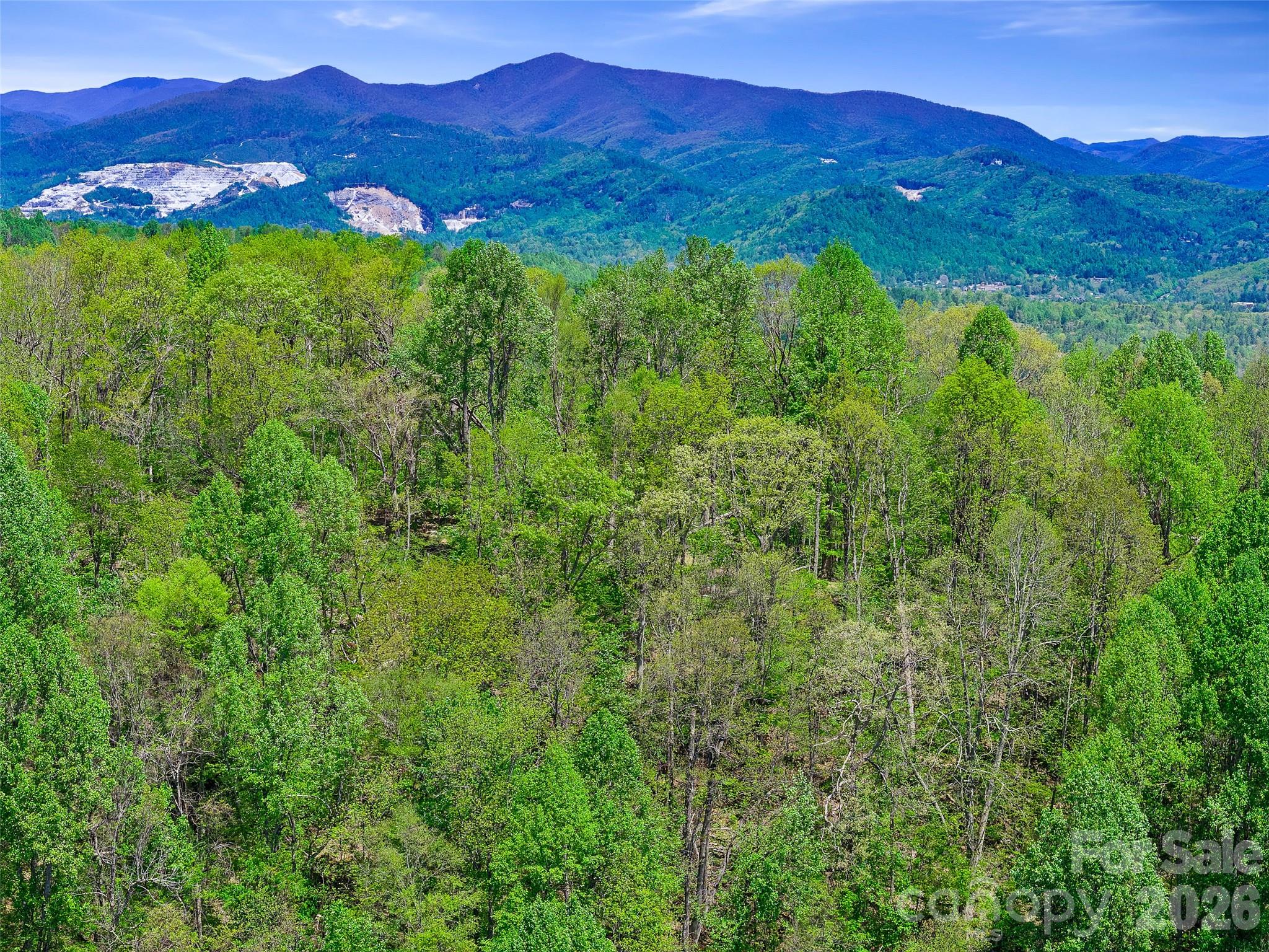 Tbd Holly Dale Drive Spruce Pine NC 28777