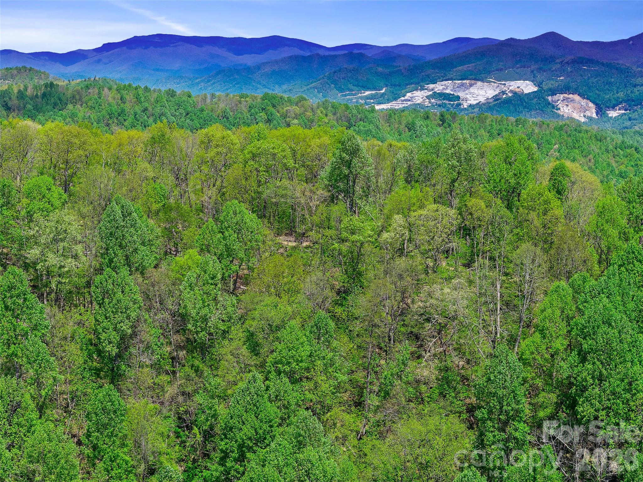 Tbd Holly Dale Drive Spruce Pine NC 28777