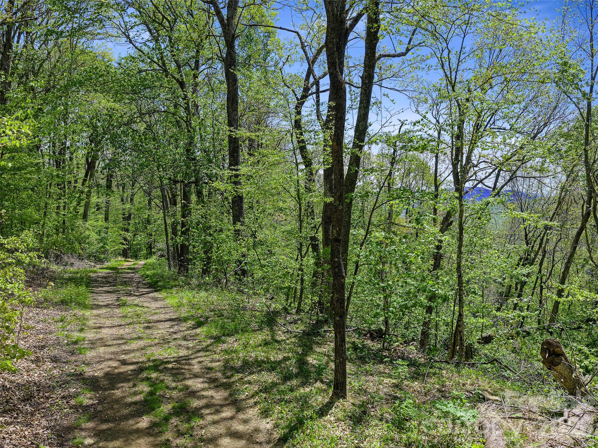 Tbd Holly Dale Drive Spruce Pine NC 28777