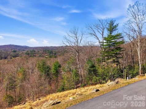 367 Curtain Bluff Hendersonville NC 28791