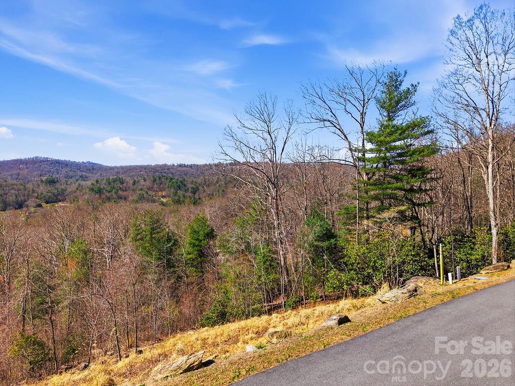 367 Curtain Bluff Hendersonville NC 28791