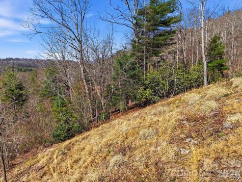 367 Curtain Bluff Hendersonville NC 28791