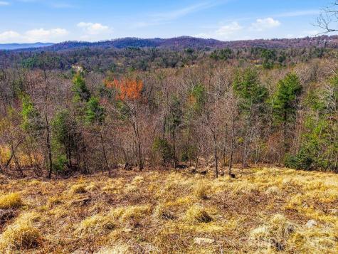 367 Curtain Bluff Hendersonville NC 28791