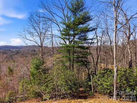 367 Curtain Bluff Hendersonville NC 28791