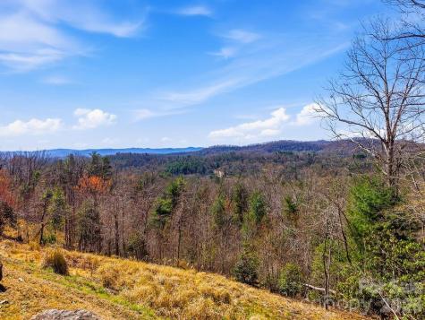 367 Curtain Bluff Hendersonville NC 28791