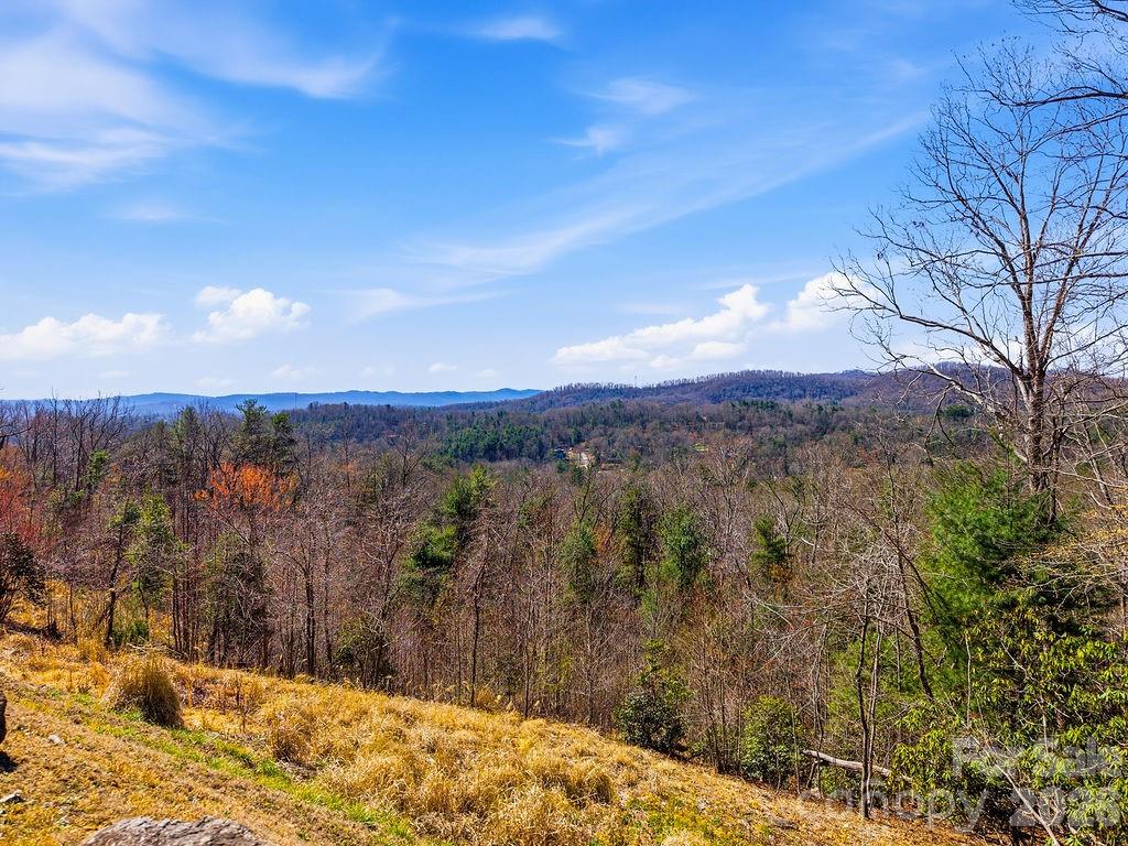 367 Curtain Bluff Hendersonville NC 28791
