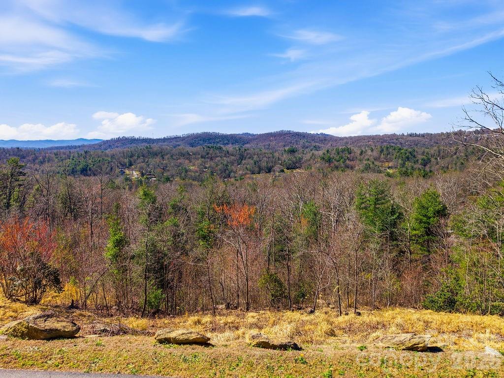 367 Curtain Bluff Hendersonville NC 28791