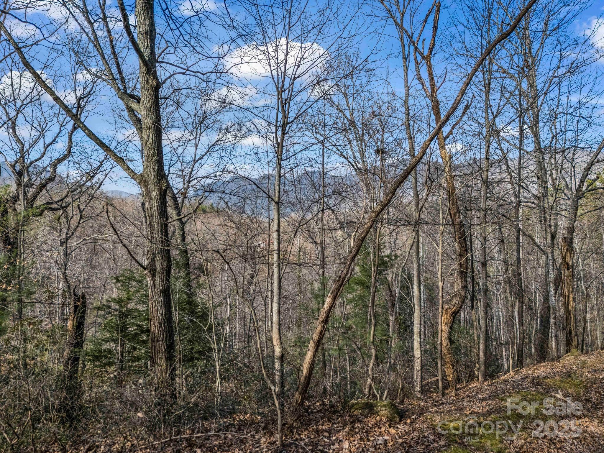0000 Holmes Road Lake Lure NC 28746