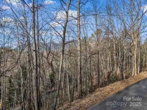 0000 Holmes Road Lake Lure NC 28746