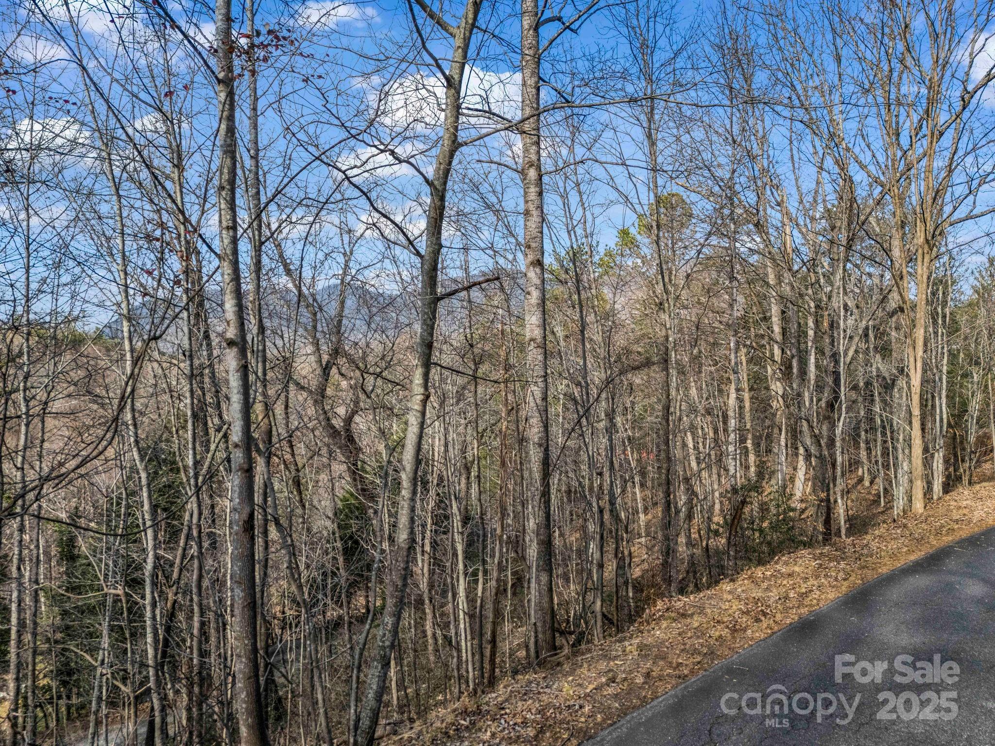 0000 Holmes Road Lake Lure NC 28746