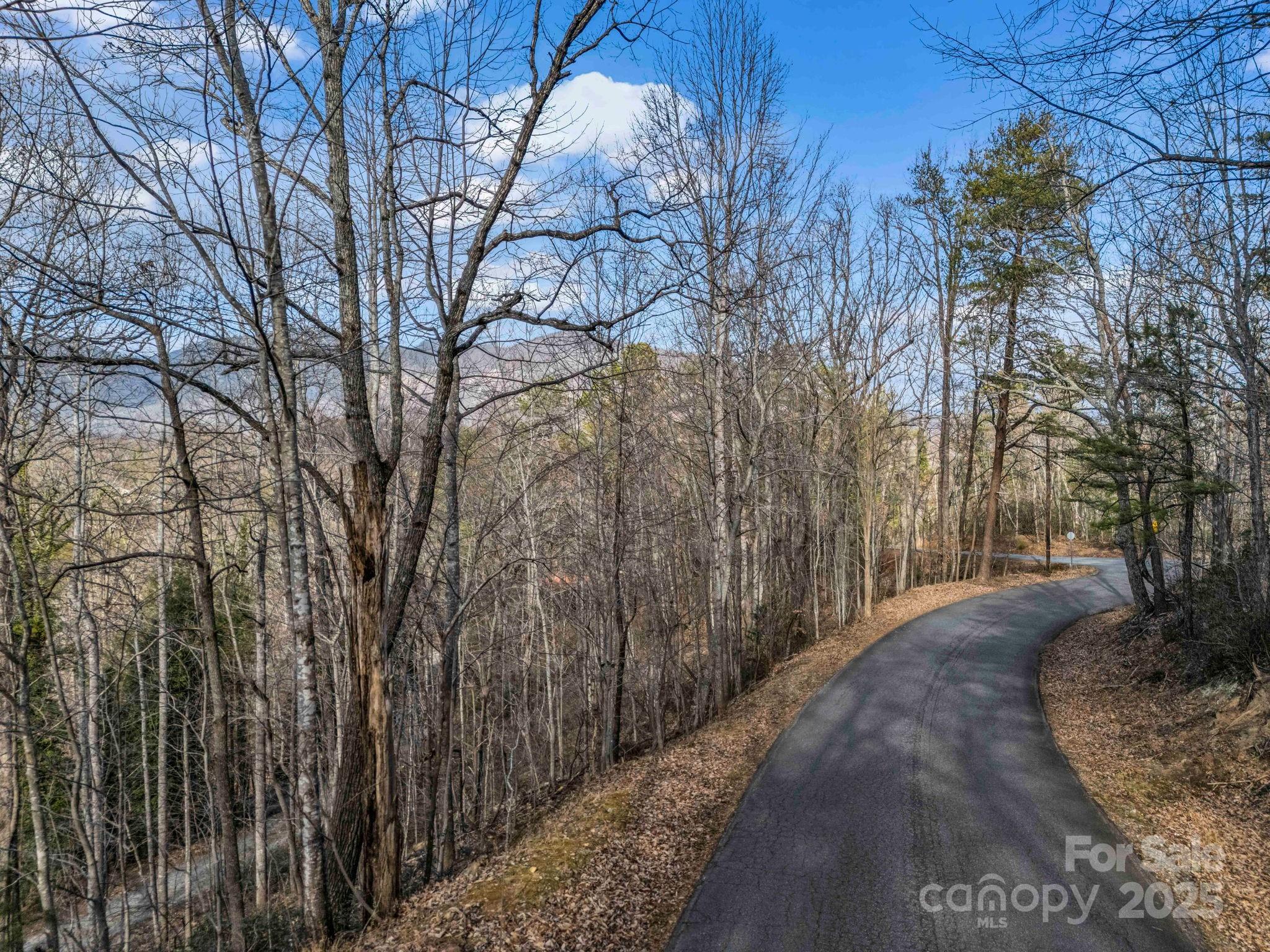 0000 Holmes Road Lake Lure NC 28746