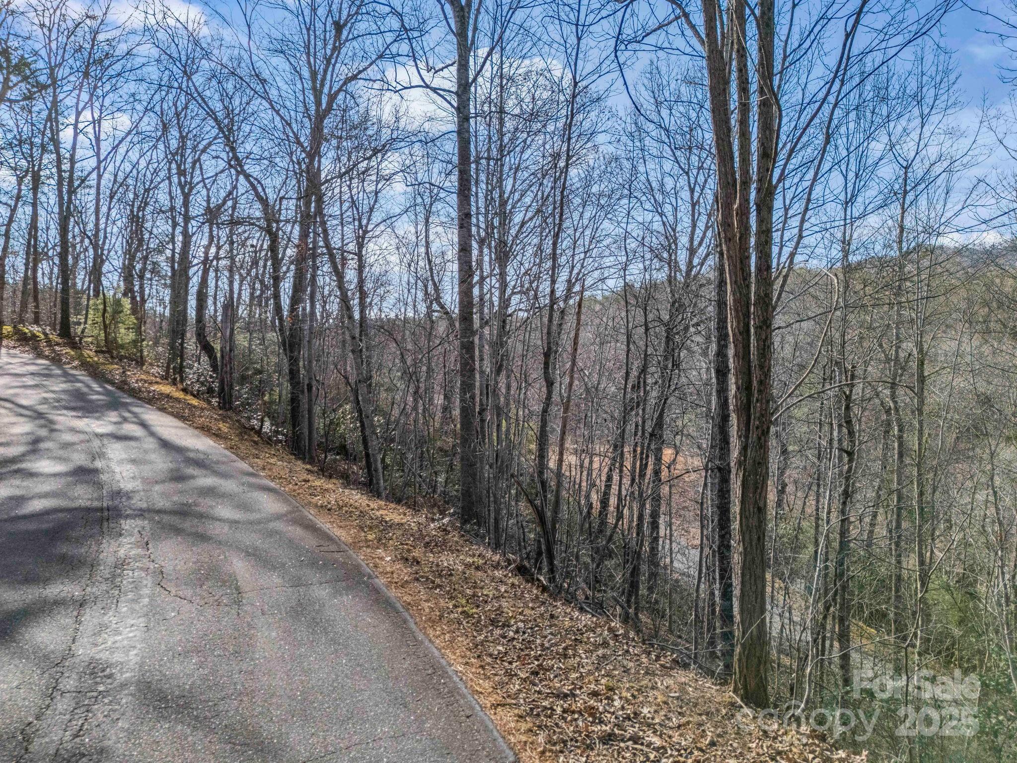 0000 Holmes Road Lake Lure NC 28746