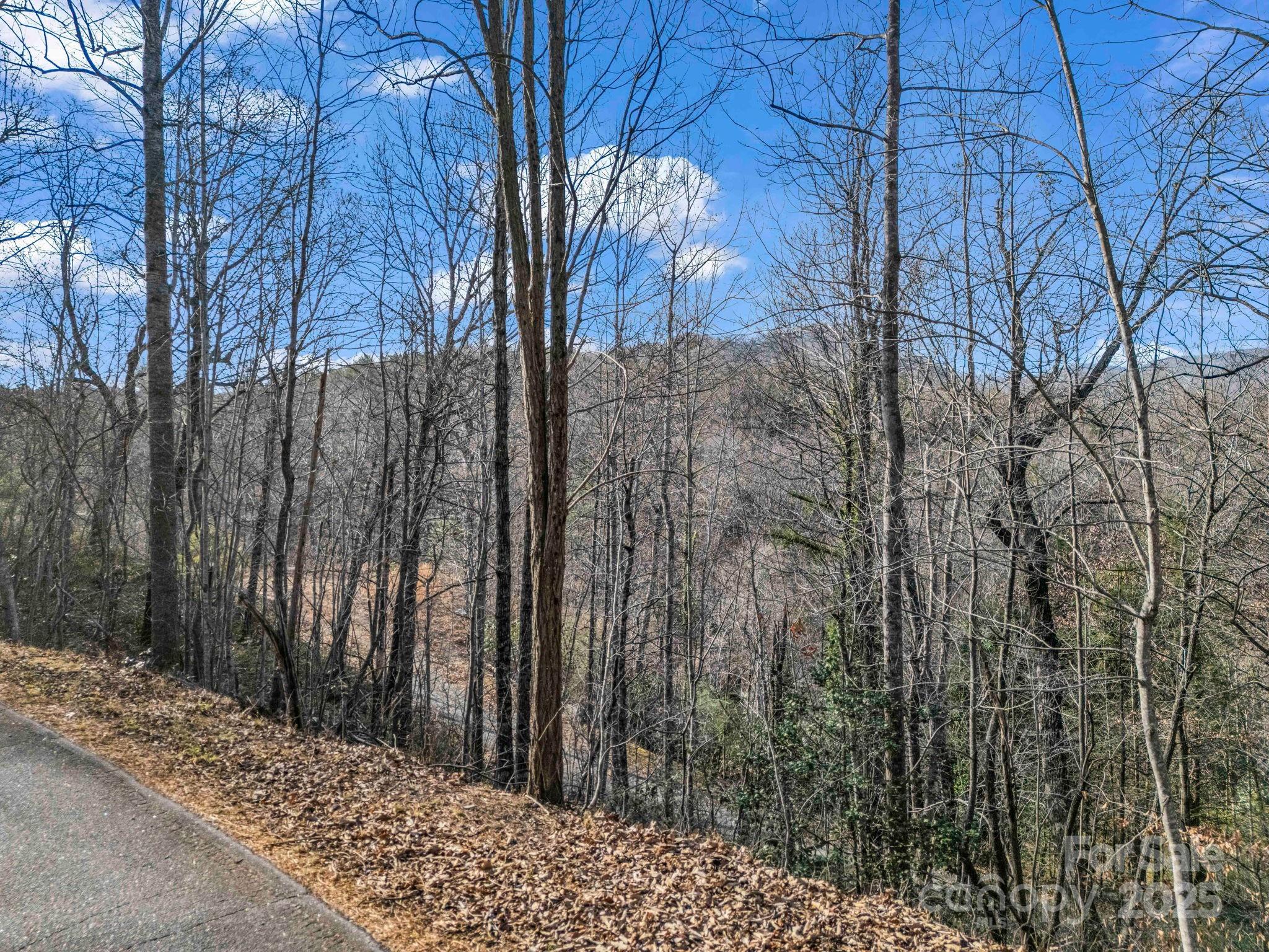 0000 Holmes Road Lake Lure NC 28746