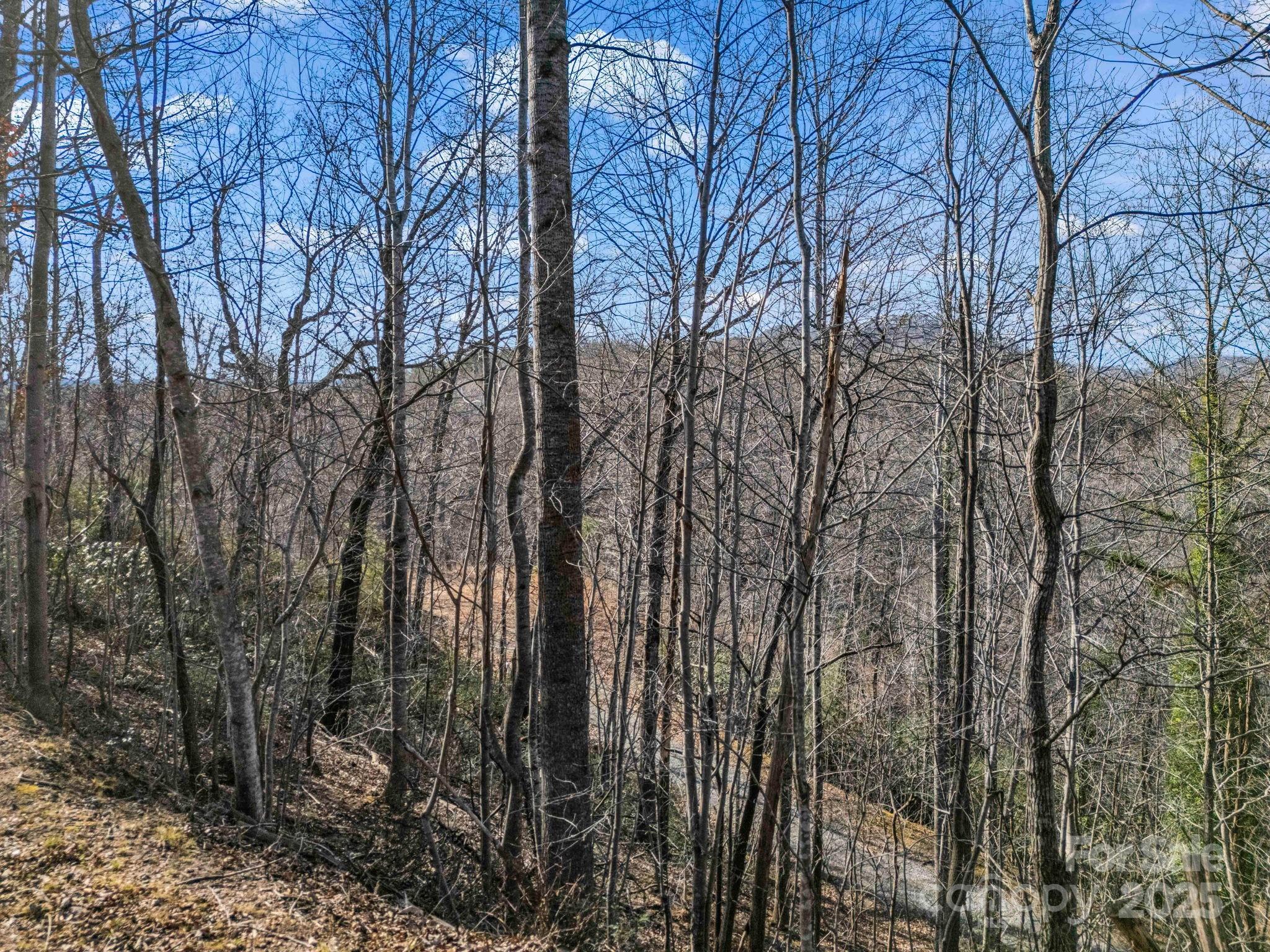 0000 Holmes Road Lake Lure NC 28746