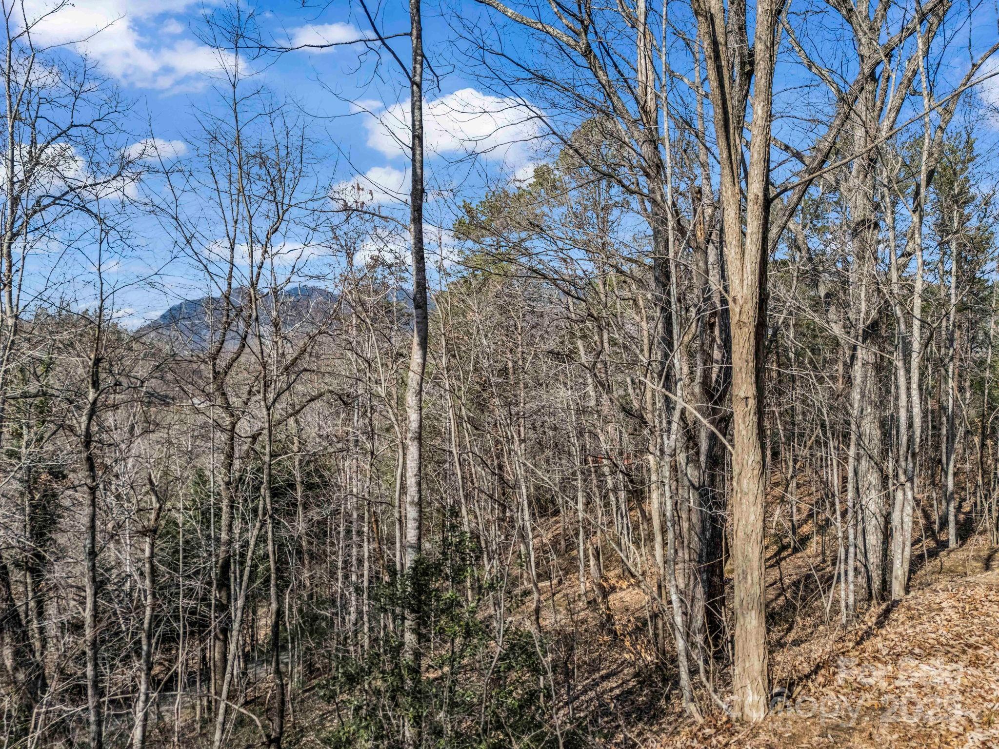 0000 Holmes Road Lake Lure NC 28746