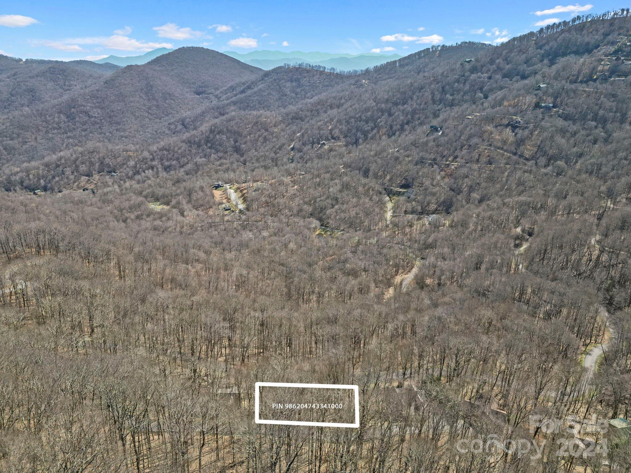 10 Chestnut Village Lane Mars Hill NC 28754