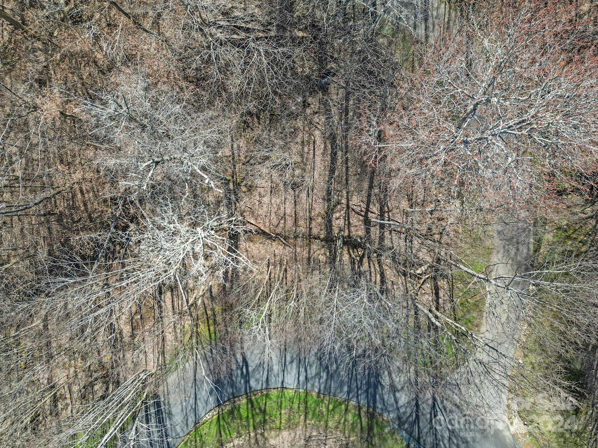 10 Chestnut Village Lane Mars Hill NC 28754